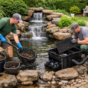 Spring pond cleaning service removing debris and inspecting filtration system in Venice, FL backyard.